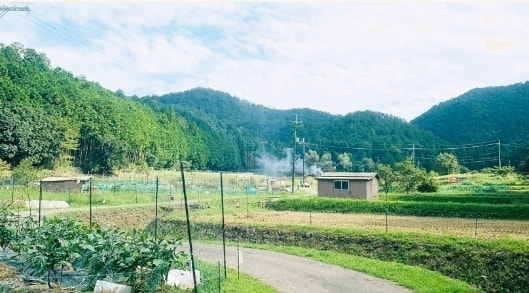 田園風景